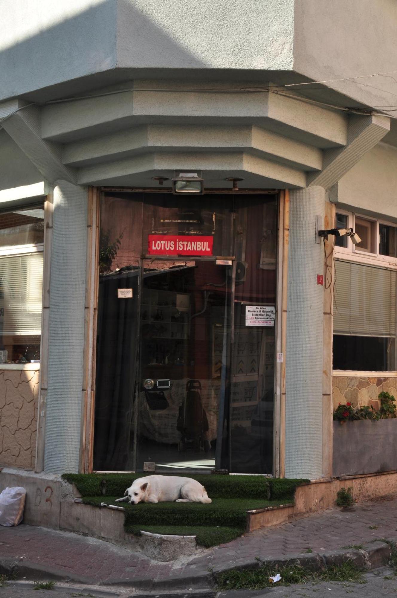 Lotus Hotel — Photos 1